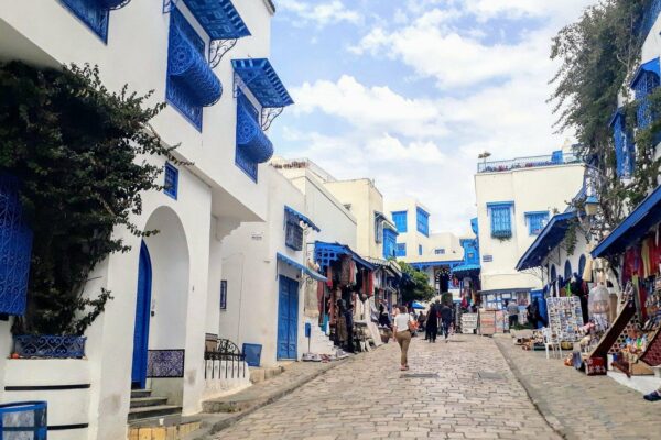 Archaelogical Site Of Carthage + Picturesque Village Of Sidi Bou Said