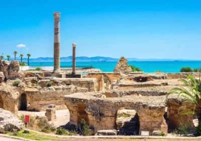 Explore Carthage and Its Ancient Ruins: A Journey Through History